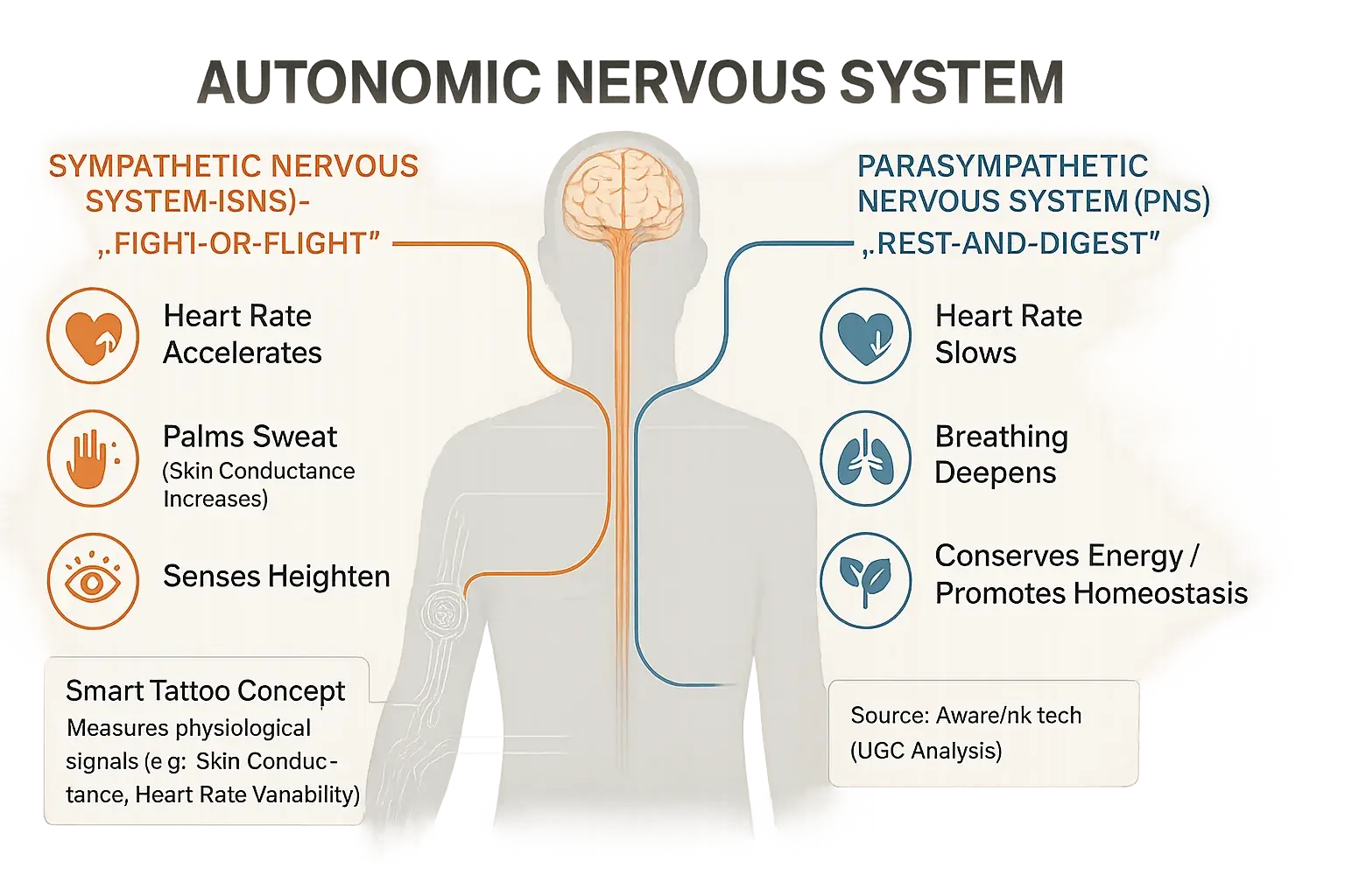 Simplified ANS diagram: sympathetic/parasympathetic effects (heart rate, sweat) &amp; smart tattoos measuring these emotional