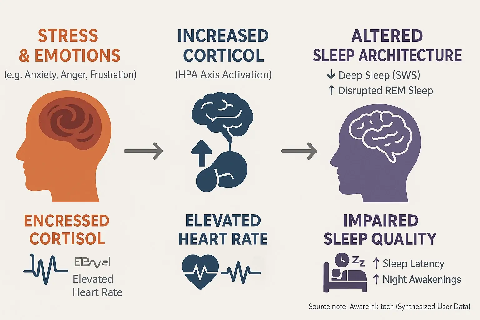 Simplified diagram: Physiological pathway showing how stress/emotions (cortisol, heart rate) disrupt sleep.